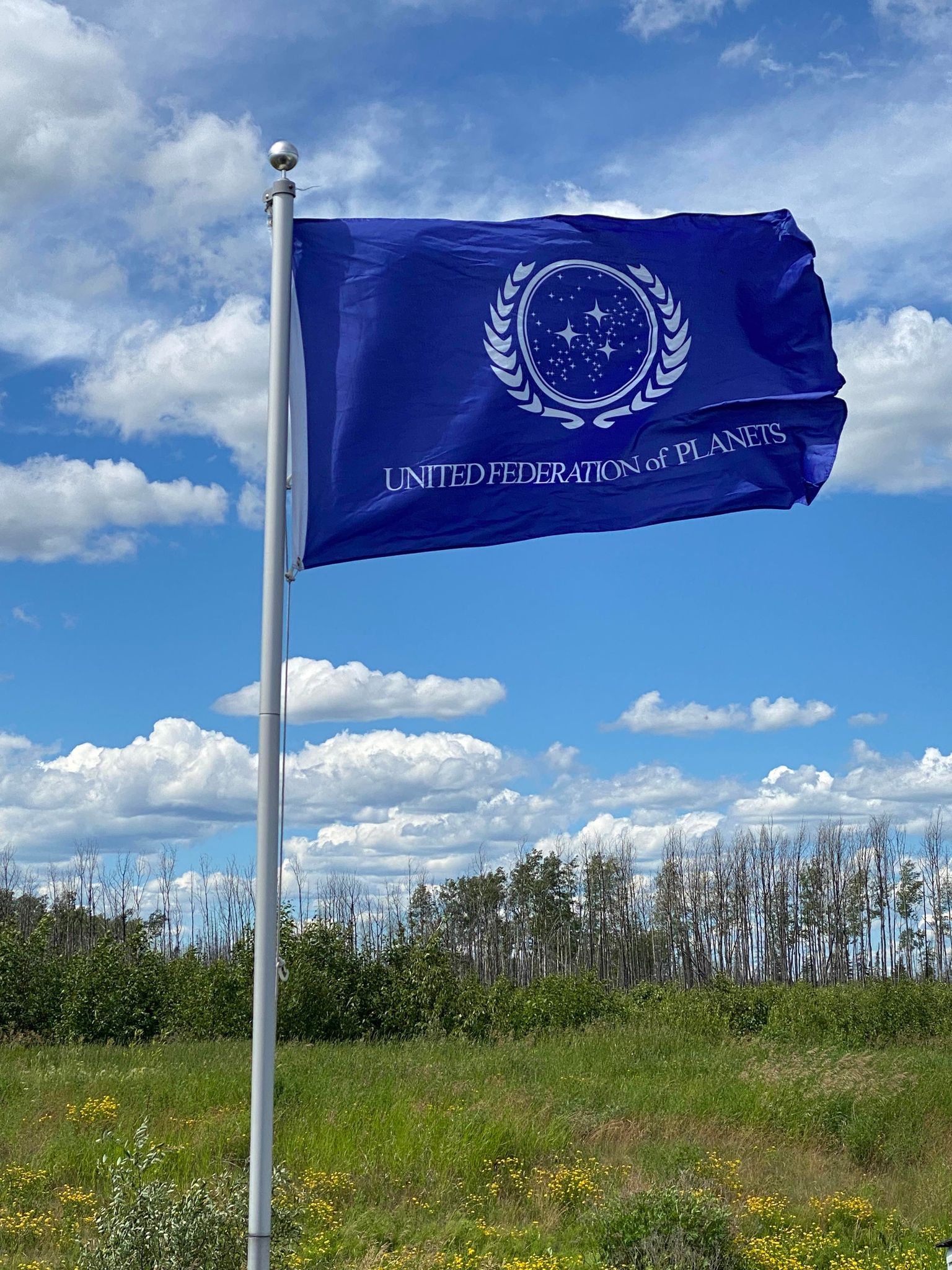 United Federation of Planets Flag at Deep Space 63.